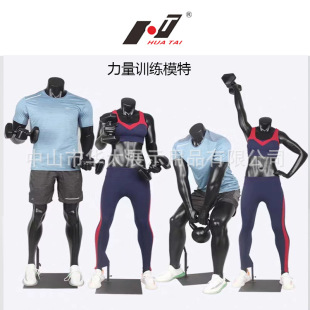 Flat-Shoulder Female Mannequin Bust - Clothing Store Prop