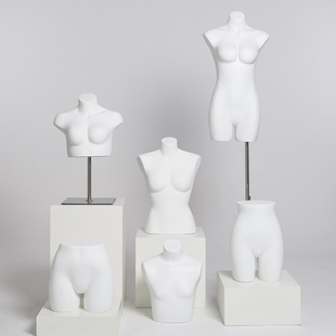 Female Underwear Mannequin - Clothing Store Window Bra & Swimsuit Stand