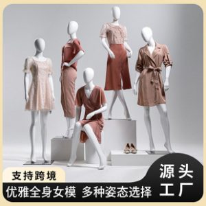 O1CN01ZuGXQC1YOUfaVFZxb_2215791163049-0-cib.310x310.jpg High-End Korean Female Mannequin - Women’s Store Window Rack