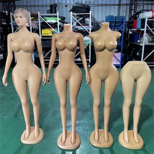 EU/US Plus Size Skin-Color Female Mannequin - Clothing Store Window Stand
