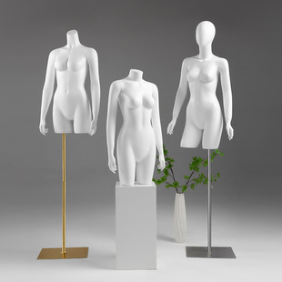 O1CN01kJ4fwS1nFWymJluTt_2212945495060-0-cib.310x310.jpg Female Underwear Mannequin - Women’s Store Bra Stand