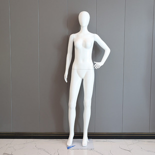 O1CN01ovPG8z1Gc5337y6SR_2208145440642-0-cib.310x310.jpg Women’s Clothing Mannequin - Clothing Store Display Stand