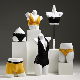 Unisex Half-Length Underwear Mannequin - Clothing Store Bra & Underwear Stand